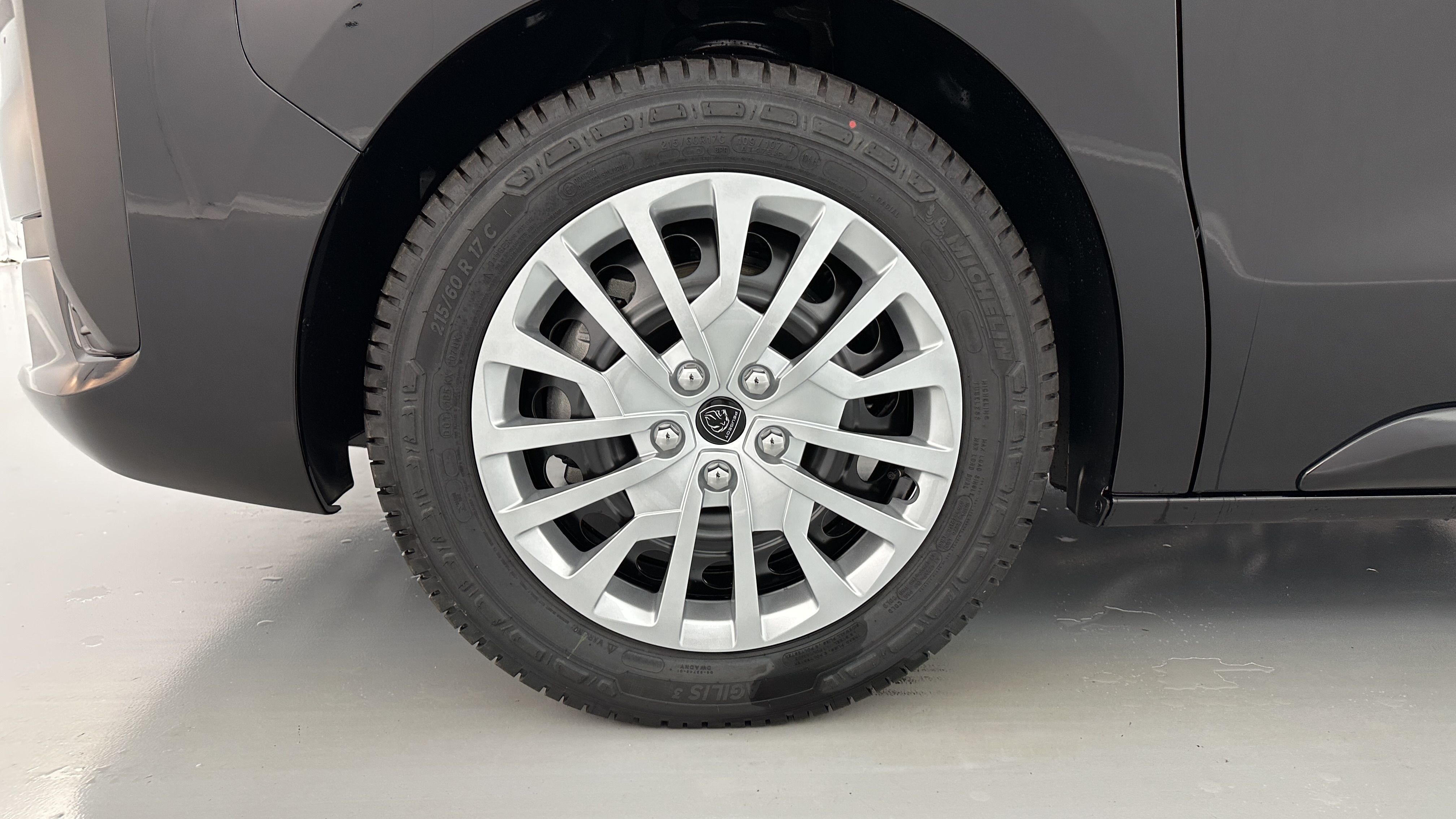 GLI00010512_p53 - PEUGEOT - EXPERT CA - 2025 - photo 10