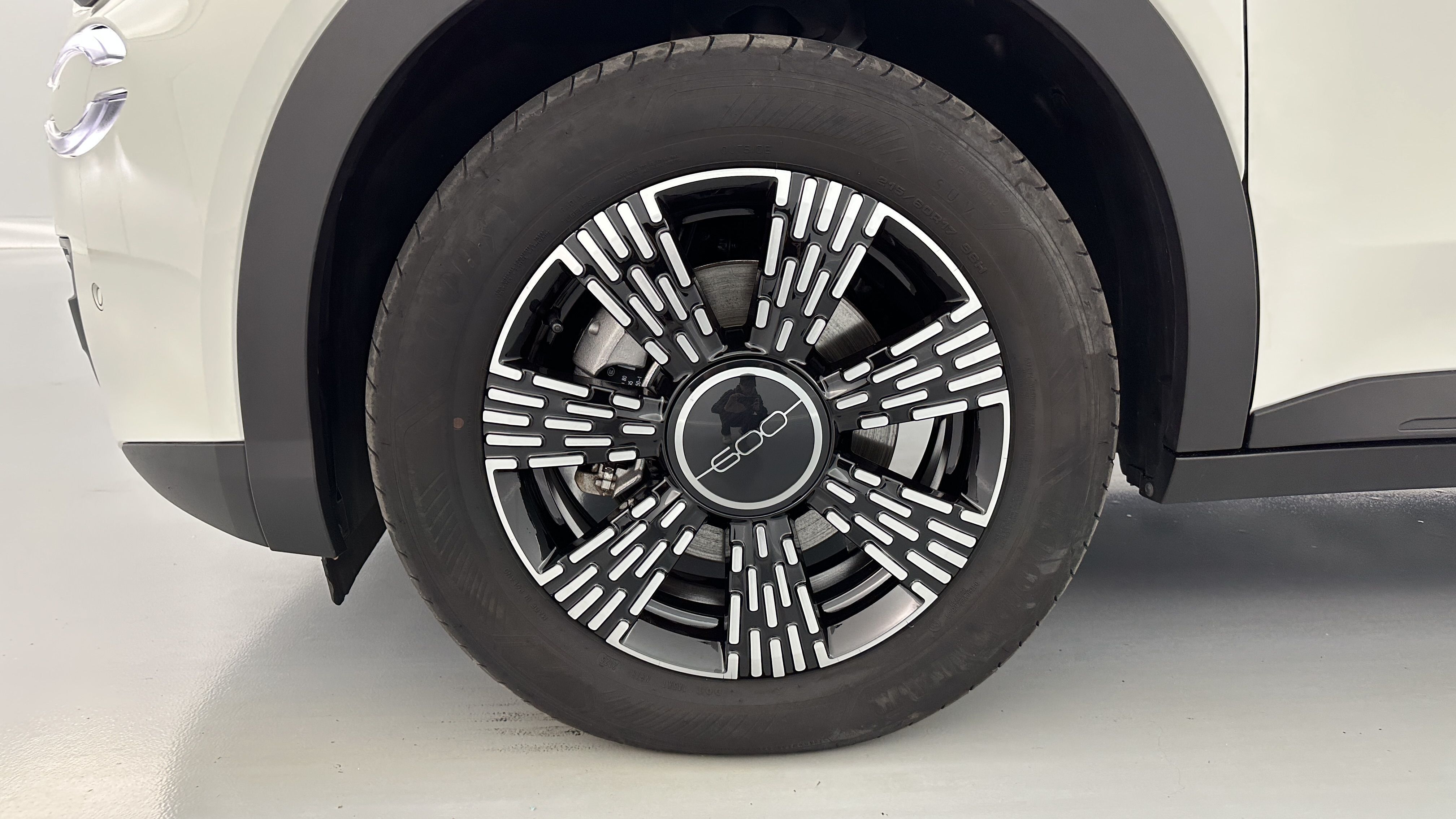 GLI00026496_p53 - FIAT - 600 - 2025 - photo 12