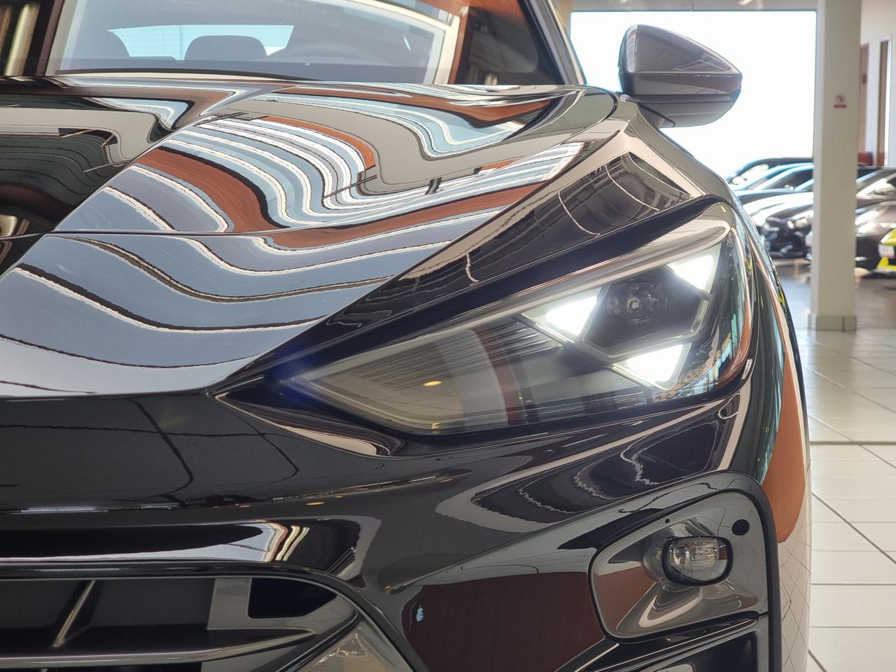 0679-0003348_p68 - CUPRA - TERRAMAR - 2026 - photo 6